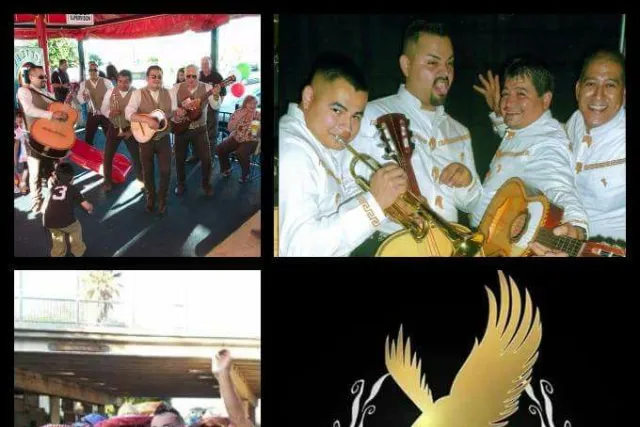 mariachi los mayorales